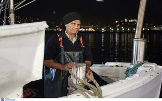 Σταμενίτης: Η Ελλάδα έχει τις προοπτικές να γίνει πρωταγωνιστής στον αλιευτικό τουρισμό