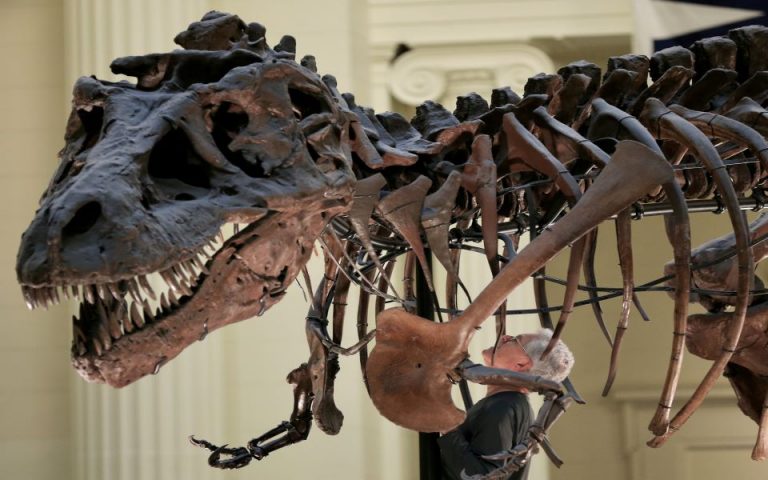 Πώς η εφηβεία του T. Rex άλλαξε το οικοσύστημα