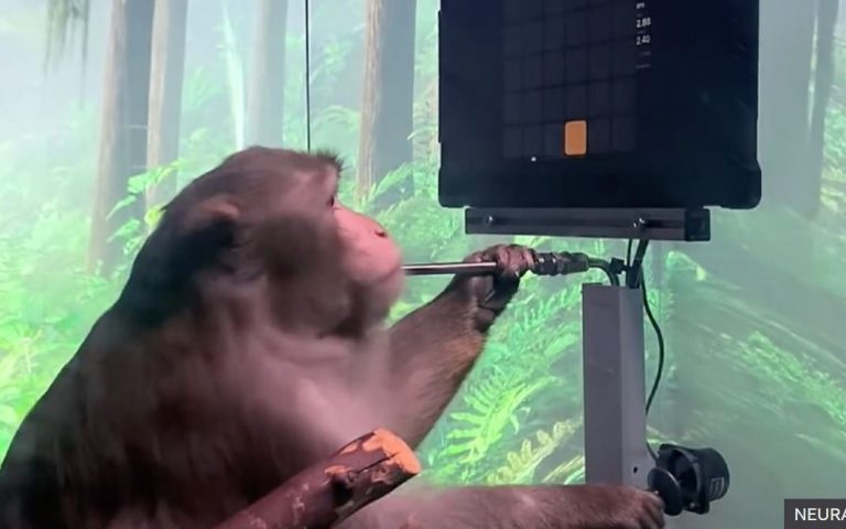 H Neuralink του Μασκ παρουσίασε πίθηκο να παίζει video game μόνο με το μυαλό του (βίντεο)