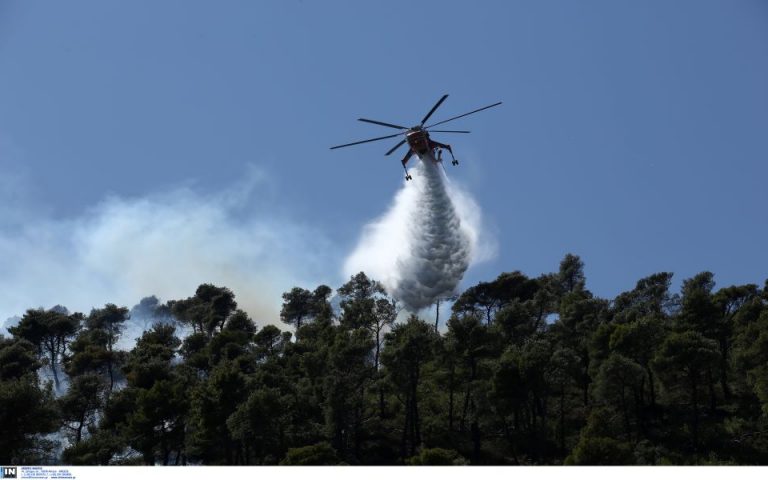 Φωτιά καίει δασική έκταση στο Χιλιομόδι Κορινθίας
