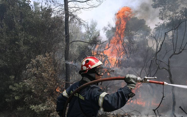 Εκπρόσωπος Πυροσβεστικής: Βελτιωμένη εικόνα στην Κορινθία – Δεν υπάρχει ενιαίο μέτωπο