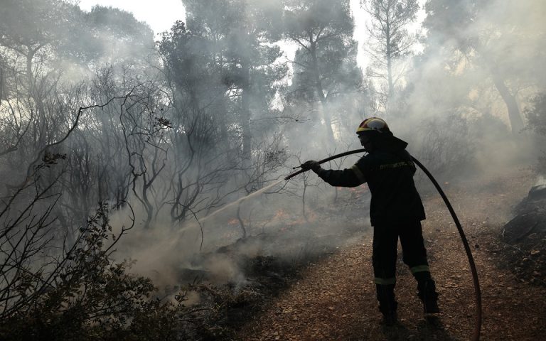 Πυρκαγιά στην Τήνο: Βελτιωμένη σήμερα η εικόνα – Αναμένονται ενισχύσεις