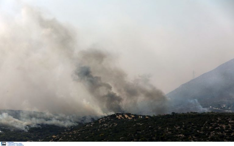 Μ. Χρυσοχοΐδης: Πλήρως οριοθετημένη η φωτιά στα Βίλια – Υψηλός κίνδυνος σε πολλές περιοχές αύριο