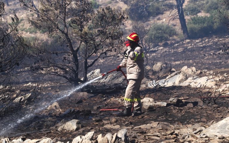 Συναγερμός για δασικές πυρκαγιές: Αύξηση της ευφλεκτότητας έως 21 Αυγούστου