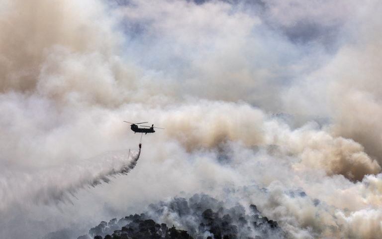 Φωτιά στον Σχίνο: Απομένουν διάσπαρτες εστίες – κάηκαν 50.000 στρέμματα