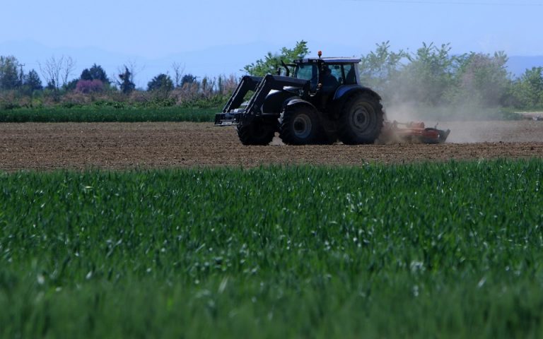 «Νέοι γεωργοί»: Ανοίγει αύριο η πλατφόρμα – Προϋπολογισμός 420 εκατ. ευρώ