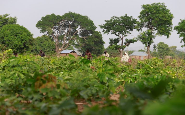 Νιγηρία: 66 νεκροί σε επτά χωριά από επιθέσεις ενόπλων