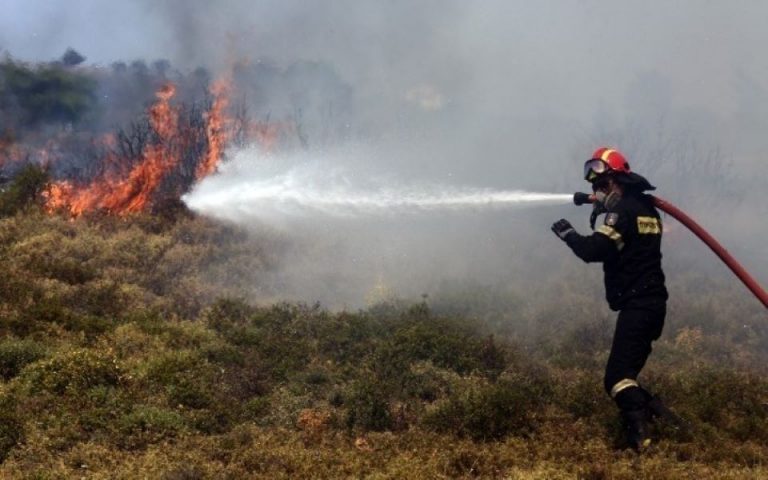 Με χρήση επιβραδυντικού υγρού η αντιμετώπιση των πυρκαγιών – Τι αλλάζει στον σχεδιασμό του υπουργείου