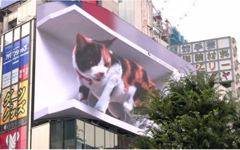 Μια… ηλεκτρονική γάτα σαγηνεύει τα πλήθη στην Ιαπωνία