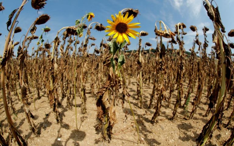 Η κεντρική Ευρώπη αντιμετωπίζει τη χειρότερη ξηρασία της τελευταίας χιλιετίας