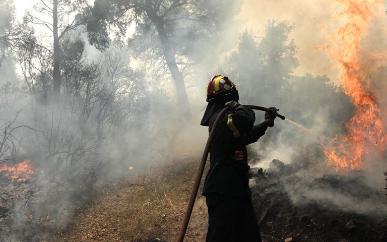 Φωτιά στη Χίο: Ενισχύονται οι δυνάμεις της πυροσβεστικής, εκκενώθηκαν σπίτια