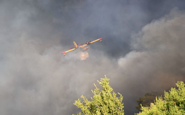 Πυρκαγιές: Μάχη με τις αναζωπυρώσεις σε Εύβοια, Γορτυνία, Ηλεία