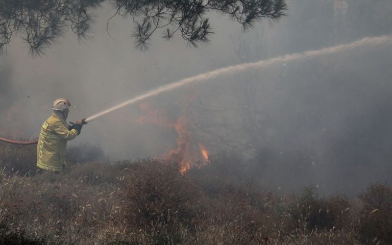 Βόλος: Υπό μερικό έλεγχο η φωτιά στην περιοχή Περίβλεπτο