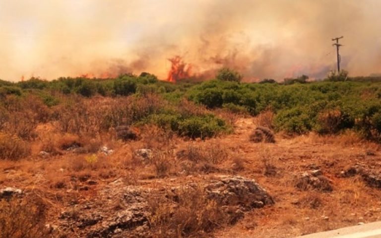 Πυρκαγιές κοντά σε κατοικημένη περιοχή στον Άγιο Νικόλαο Σαλαμίνας και στη Ζάκυνθο