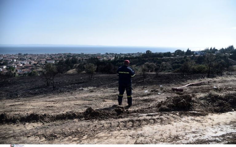 Σε 43 οι δασικές πυρκαγιές σε όλη την Ελλάδα το τελευταίο 24ωρο