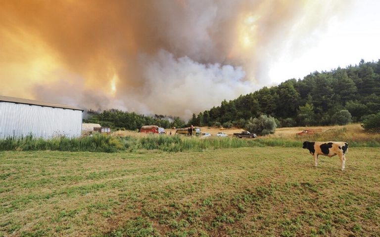 Κρατική αρωγή: Πίστωση ύψους 2,81 εκατ. ευρώ σε 985 πληγέντες από τις πυρκαγιές