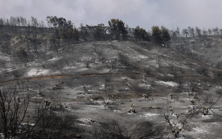 Πυρκαγιές: Μάχη με τις φλόγες σε Εύβοια, Μάνη, Φθιώτιδα, Ηλεία 