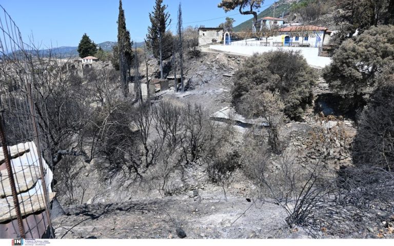 Στις 34 οι πυρκαγιές σε ολόκληρη την Ελλάδα το τελευταίο 24ωρο