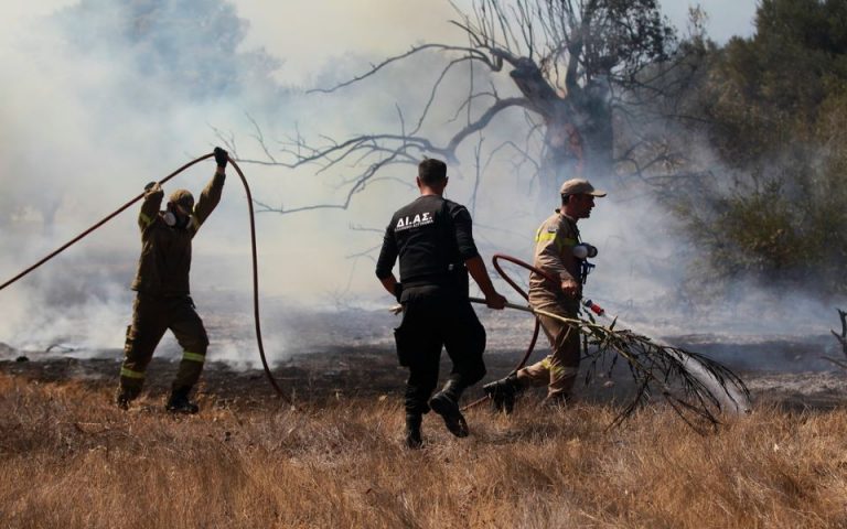 Πυρκαγιά στα Βίλια: Ανάμεσα σε Παλαιοχώρι και Οινόη το πιο επικίνδυνο μέτωπο
