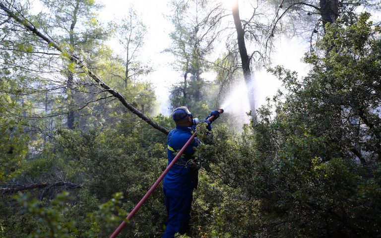 Σε ύφεση η πυρκαγιά στα Βίλια – Ισχυρές δυνάμεις παραμένουν στην περιοχή