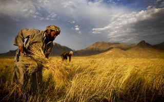 ΥΠΑΑΤ: Σε διαβούλευση το νομοσχέδιο για δημιουργία αγροτικών τμημάτων στα επιμελητήρια