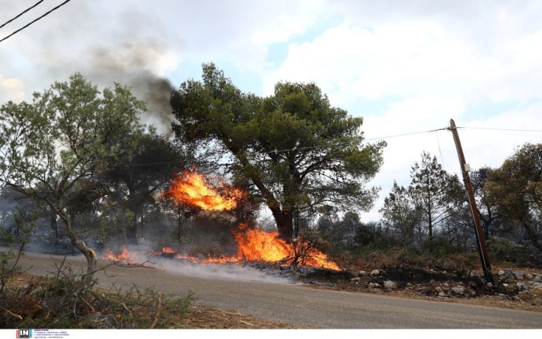 Μαίνεται η φωτιά στη Βένιζα Μεγάρων – Εκκενώνονται  Ζάχουλη, Παπαγιαννέϊκα – 3 πυρκαγιές στη Σαλαμίνα