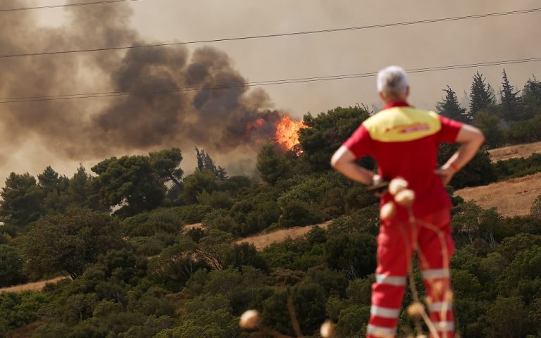 Πυρκαγιές: Καλύτερη εικόνα στη Μεσσηνία