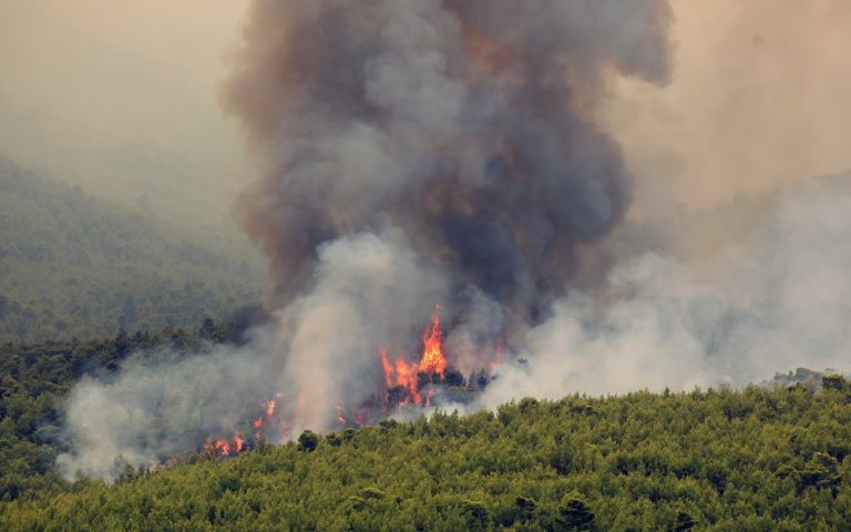 Άμφισσα: Πυρκαγιά ξέσπασε στο χωριό Κρόκι