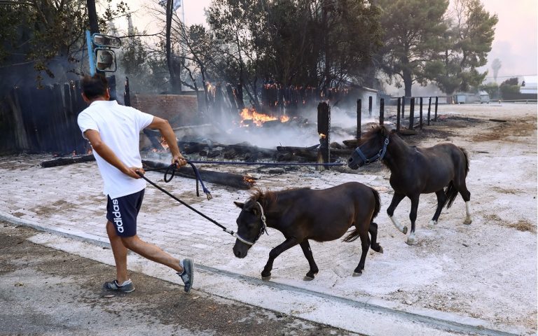 Απομάκρυνση αλόγων από τη φωτιά στη Βαρυμπόμπη