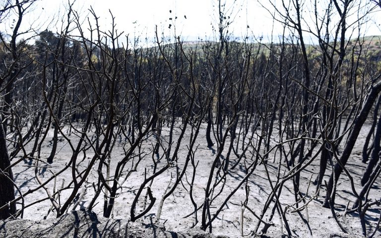 Πυρκαγιές στην Ελλάδα: Το 2021 η χειρότερη επίδοση με διαφορά