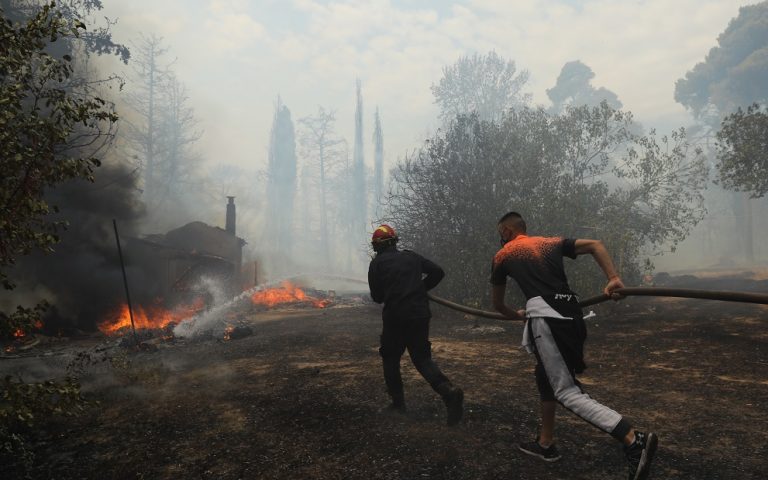 Πυρκαγιές: Τρίτη η Ελλάδα σε καμένες εκτάσεις στη Μεσόγειο – Αύξηση 336% φέτος