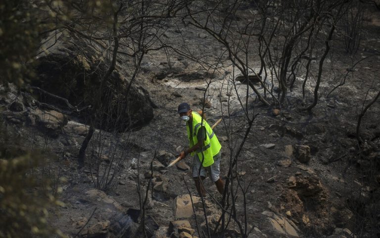 Καμπανάκι Λέκκα: 7 φορές υψηλότερος ο κίνδυνος για πλημμύρες μετά τις πυρκαγιές