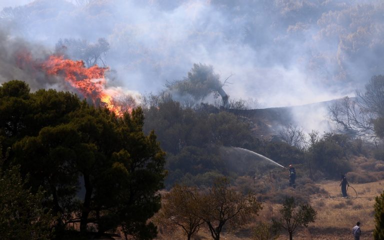 Μαίνεται η φωτιά στα Βίλια – Σε ύφεση η πυρκαγιά στην Κερατέα