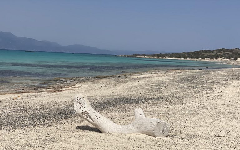 Νήσος Χρυσή: Σε αυστηρό καθεστώς προστασίας το «διαμάντι» της νότιας Κρήτης