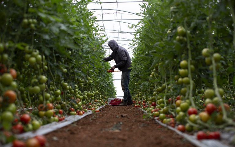 Ντομάτες, αγγούρια: Τα επόμενα «θύματα» της ενεργειακής κρίσης;
