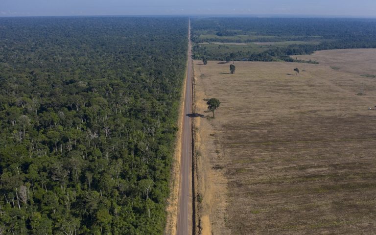 Αμαζόνιος: Αρνητικό ρεκόρ αποψίλωσης φέτος – Τεράστια η καταστροφή