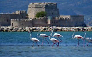 Ναύπλιο, Καλαμάτα και Αλεξανδρούπολη βρίσκονται ψηλά στον City break τουρισμό μετά την Αθήνα και τη Θεσσαλονίκη