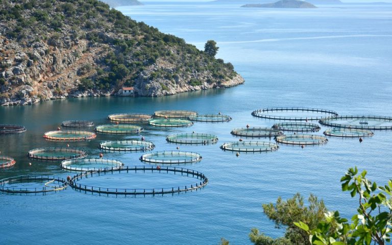 Κομισιόν: Κονδύλια 363,7 εκατ. στην Ελλάδα για την αλιεία και την υδατοκαλλιέργεια