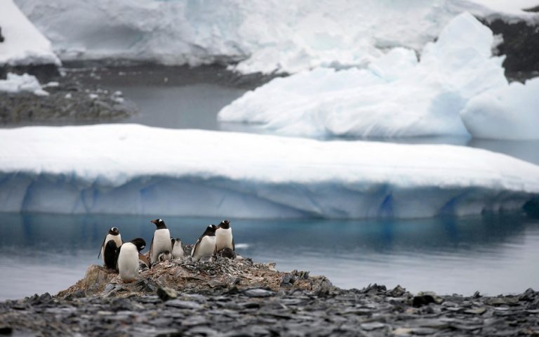 Η Νο.1 απειλή για την Ανταρκτική είναι οι… θαλάσσιοι οργανισμοί