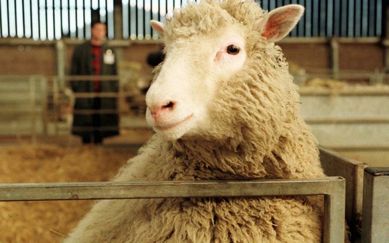 Ντόλι: Πού είναι σήμερα το διασημότερο πρόβατο στην ιστορία