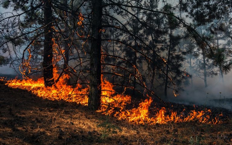 Μαίνεται η φωτιά στην Εύβοια: Εκκενώνεται προληπτικά το χωριό Κρεμαστός