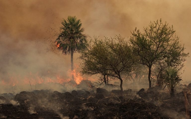 Καύσωνας και μεγάλες δασικές πυρκαγιές σε Πορτογαλία, Ισπανία και Γαλλία