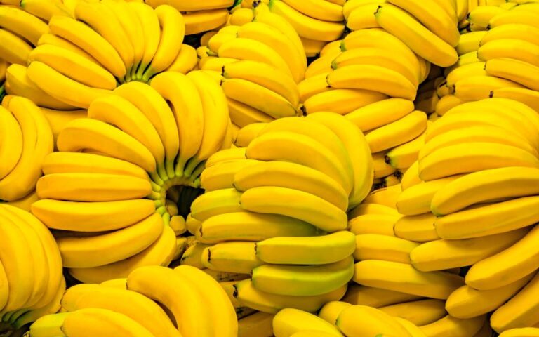 Μπανάνα: Το φρούτο που προκάλεσε πολέμους και άλλαξε τον κόσμο