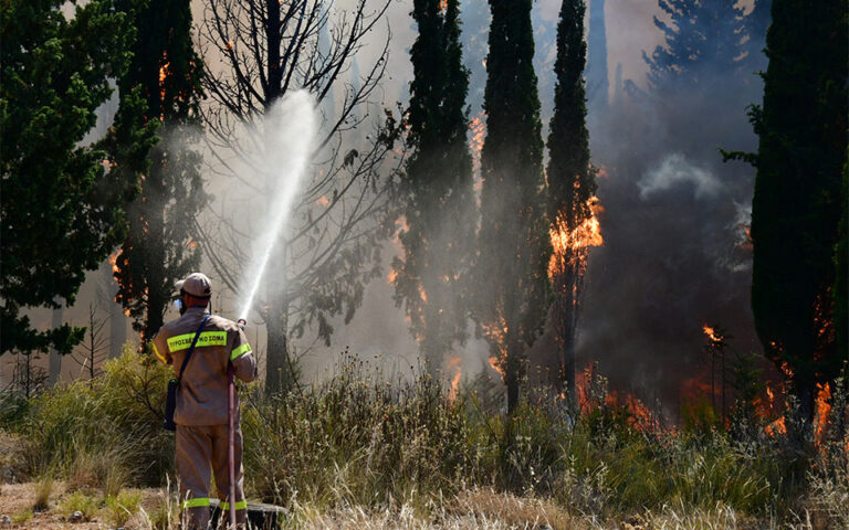 Φωτιά σε δασική έκταση στο Λεόντιο Νεμέας