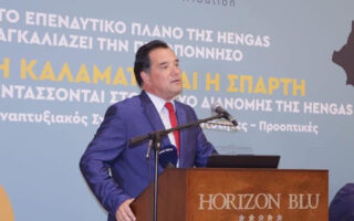 Γεωργιάδης: To 2023 θα έχουν φυσικό αέριο σε Καλαμάτα και Σπάρτη