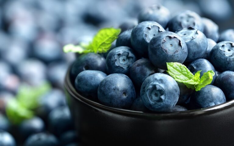 Διατροφή: Γιατί ο εγκέφαλος λατρεύει τα blueberries