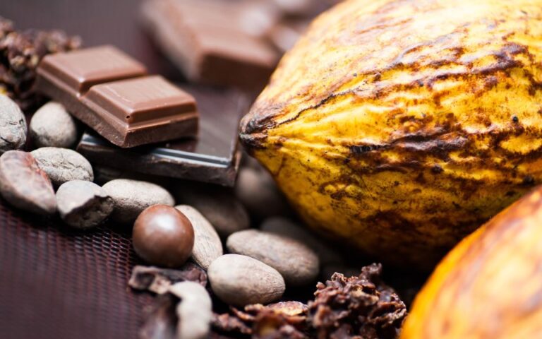 Κακάο: Η αύξηση των τιμών δεν θα πλήξει μόνο τους λάτρεις σοκολάτας