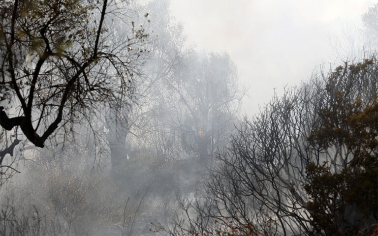 Καβάλα: Υπό έλεγχο η πυρκαγιά στον δήμο Παγγαίου