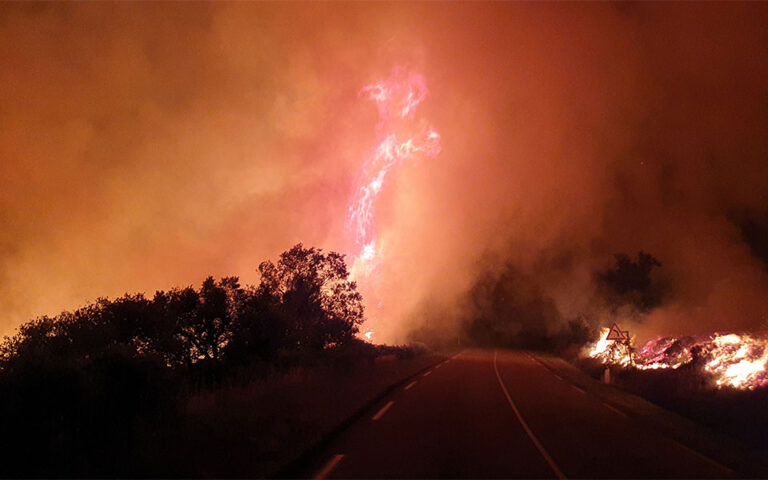 Ισπανία: Καταστροφική η πρώτη μεγάλη πυρκαγιά της χρονιάς
