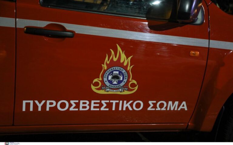 Hellenic Train: Καθυστερήσεις σε δρομολόγια τρένων λόγω φωτιάς στα Οινόφυτα